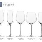 Fortisimo kieliszek do szampana 240 ml (SH-8560-7-6) - zdjęcie